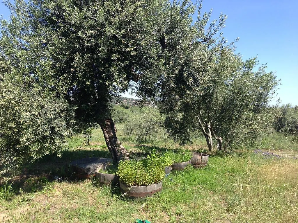 Appartement Armandiola à Cardedu